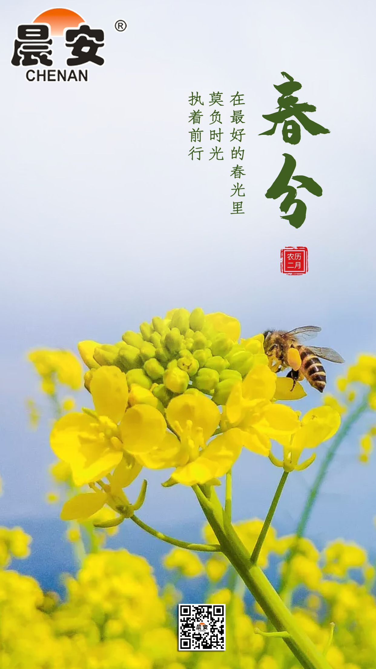 春分晨安.jpg