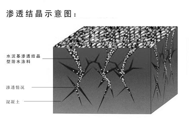 水泥基滲透結(jié)晶型防水涂料防水原理圖